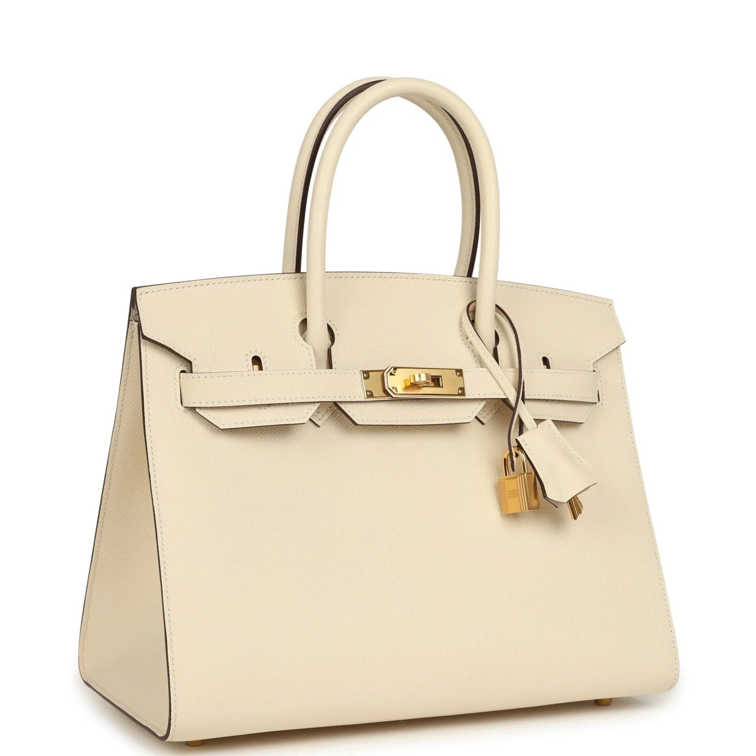 H.Birkin Sellier 25 Nata Epsom